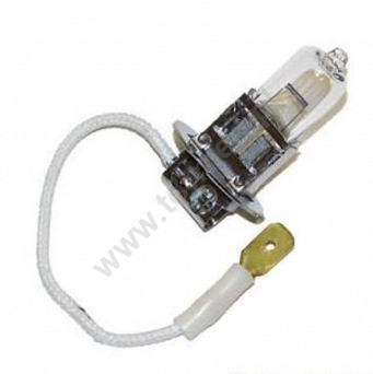 Żarówka halogenowa  12V 55 W (do lampy Performer)